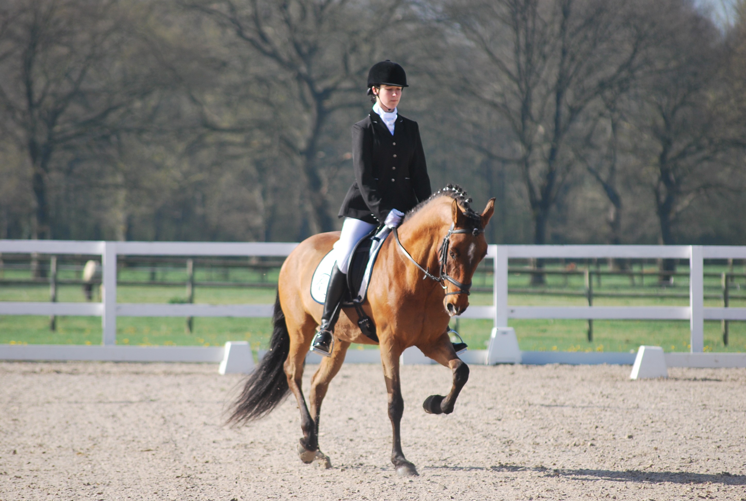 Clasificación 1ª fase Liga Navarra Doma Clásica Niveles 1-5 y JJDD 2014